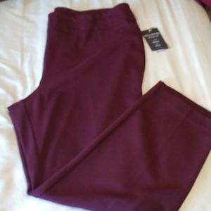 Zac and Rachel Dress Pant